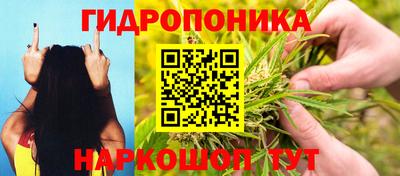 МДПВ Будённовск