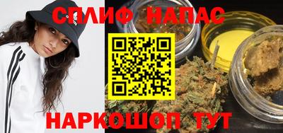 МДПВ Будённовск