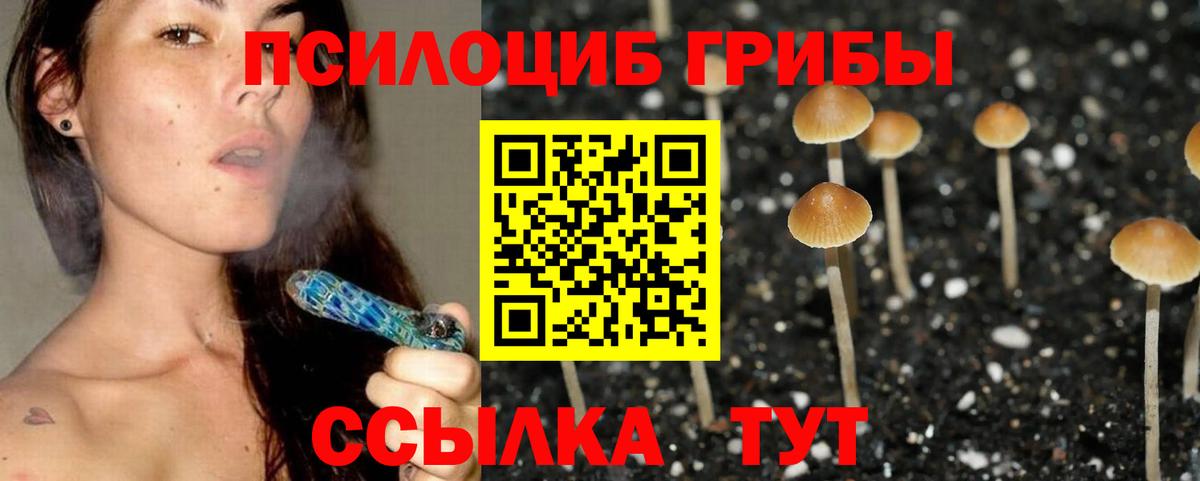 Псилоцибиновые грибы Magic Shrooms Сургут
